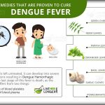 Home Remedies For Dengue Fever