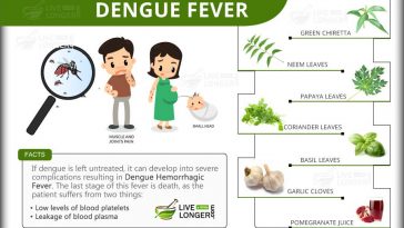 Home Remedies For Dengue Fever