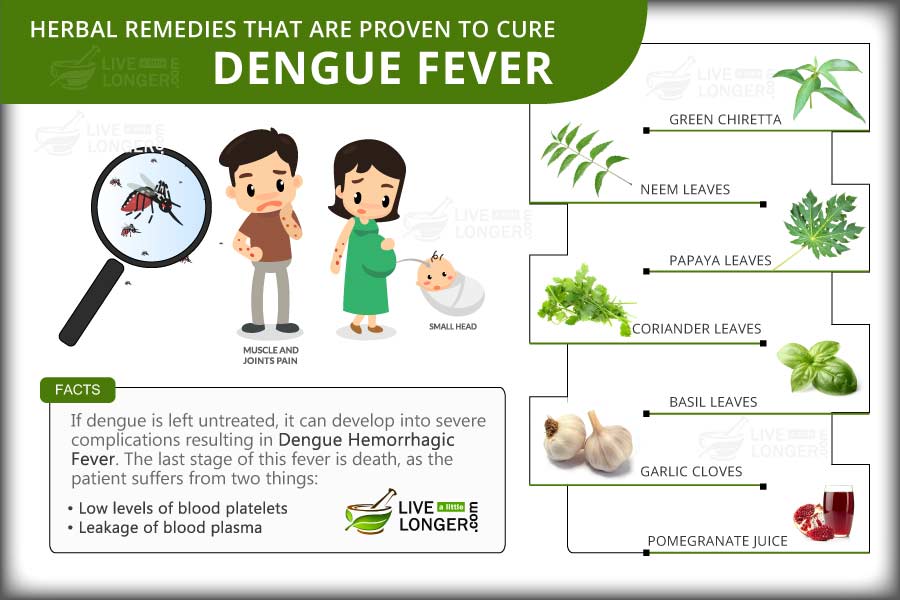 Dengue Disease Symptoms Remedies Health Dengue Disease Symptoms Remedies Health, Dengue Symptoms and Remedies, Dengue prevention methods,About Dengue Disease,