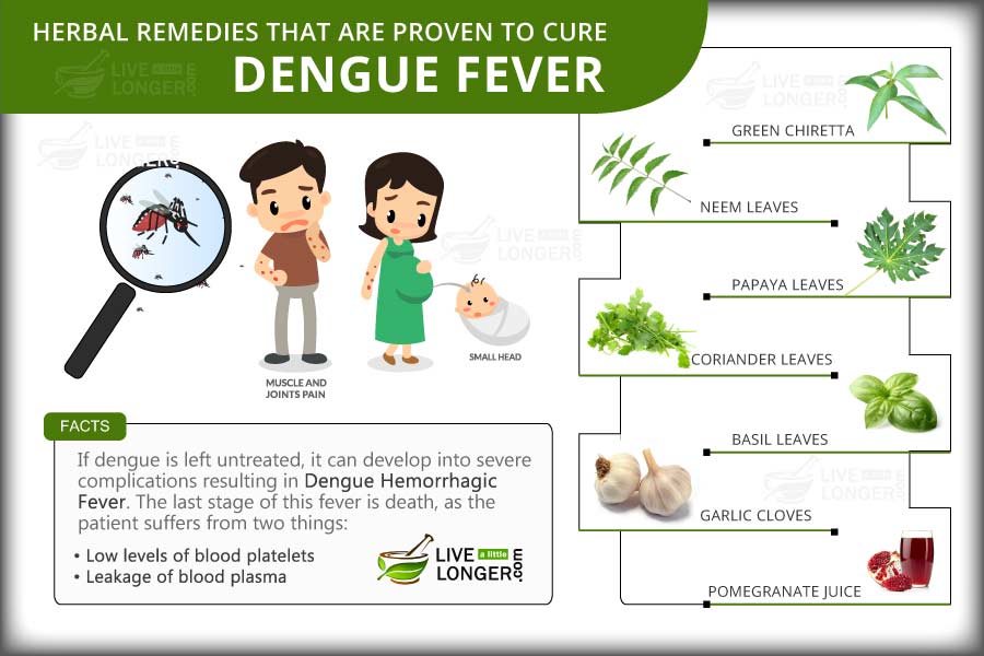 Home Remedies For Dengue Fever