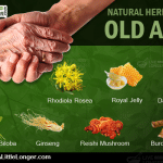 Natural herbal remedies for old age