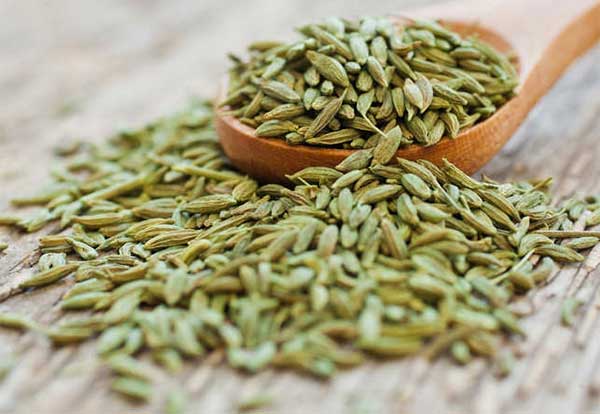 fennel seeds for bulmia nervosa