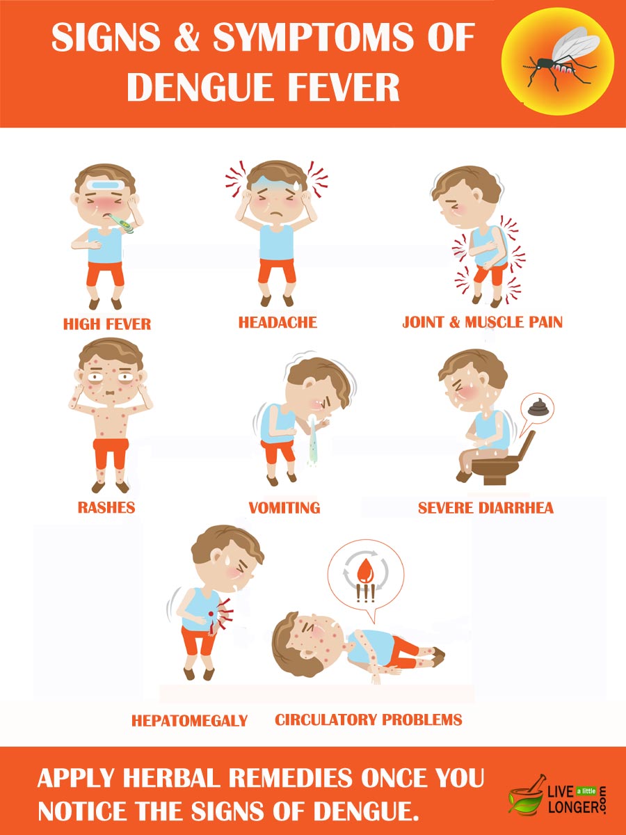 Dengue Fever Symptoms And Symptoms Dengue Fever Symptoms And Symptoms