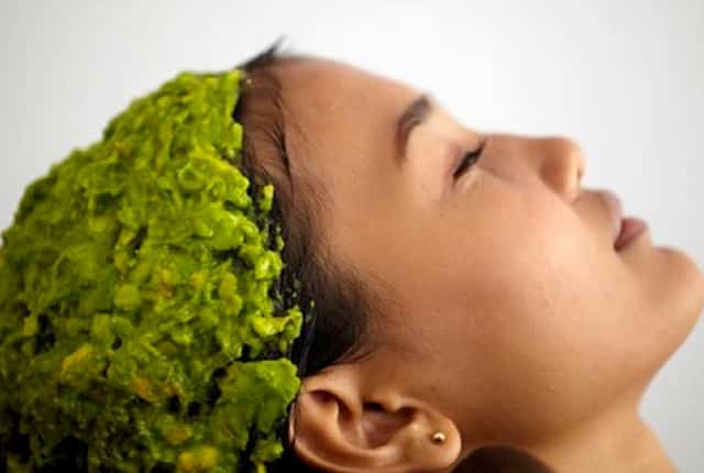 10 Amazing Herbs To Make Your Hair Grow Faster!