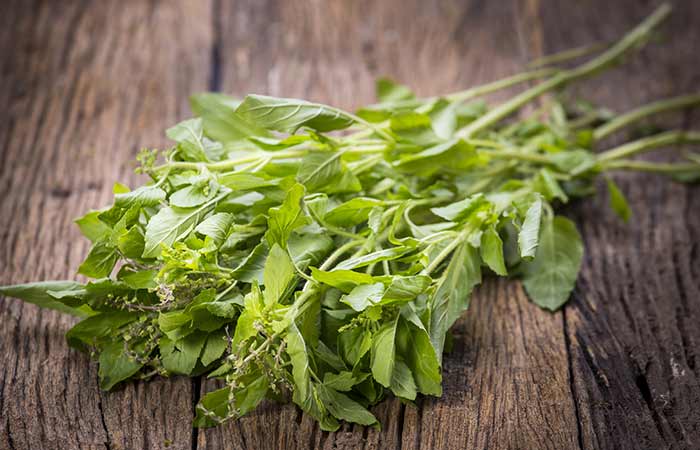 10 Amazing Herbs To Make Your Hair Grow Faster!