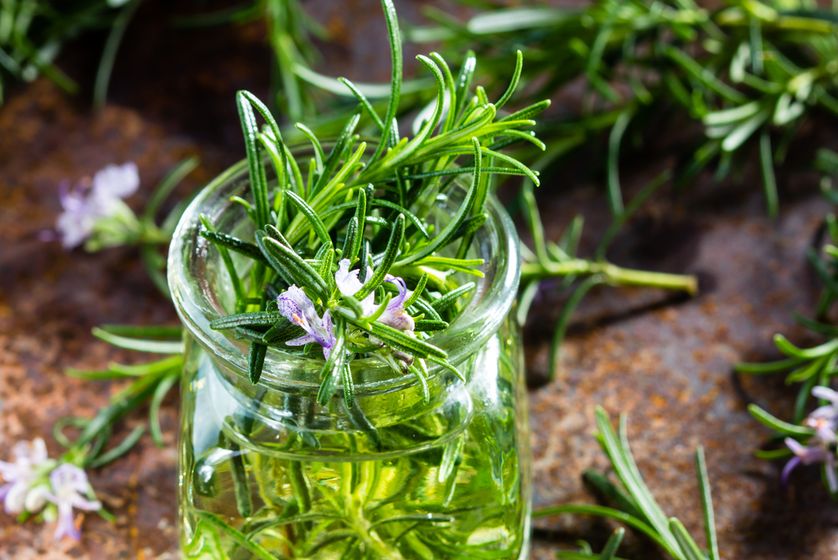 10 Amazing Herbs To Make Your Hair Grow Faster!