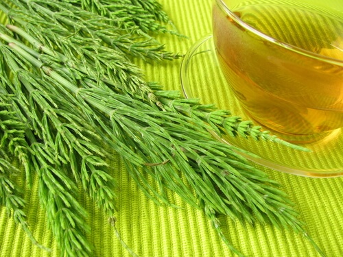 10 Amazing Herbs To Make Your Hair Grow Faster5