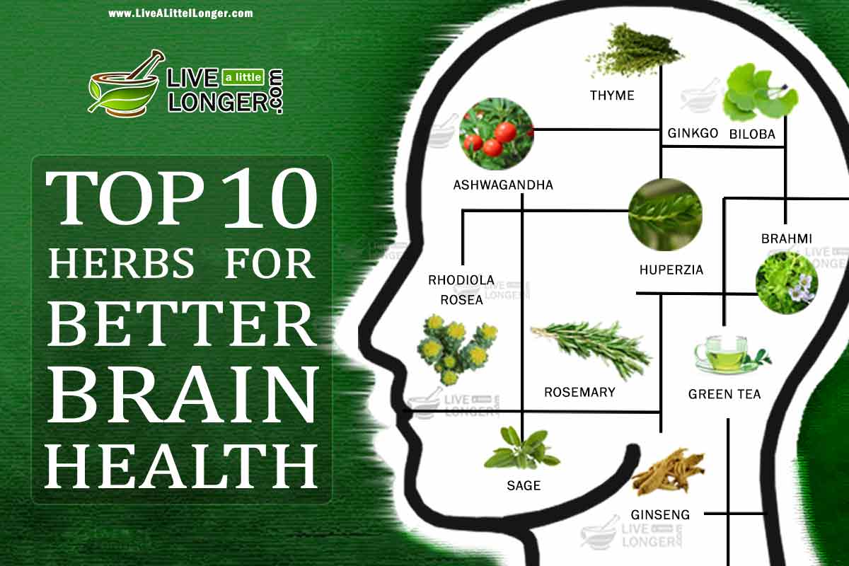 Top 10 herbs for best brain health