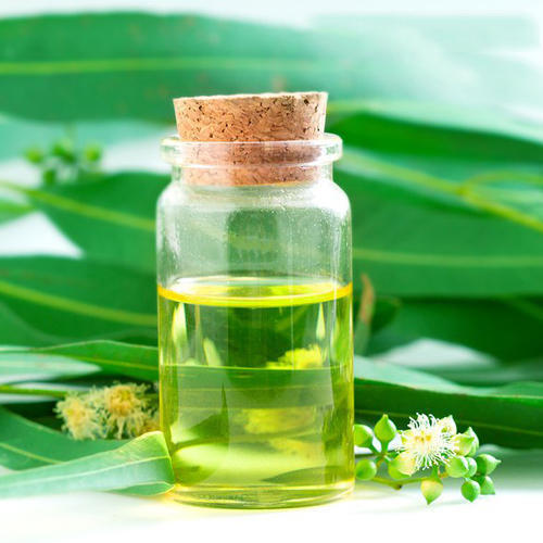 eucalyptus-oil