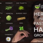 herbs for faster hair growth