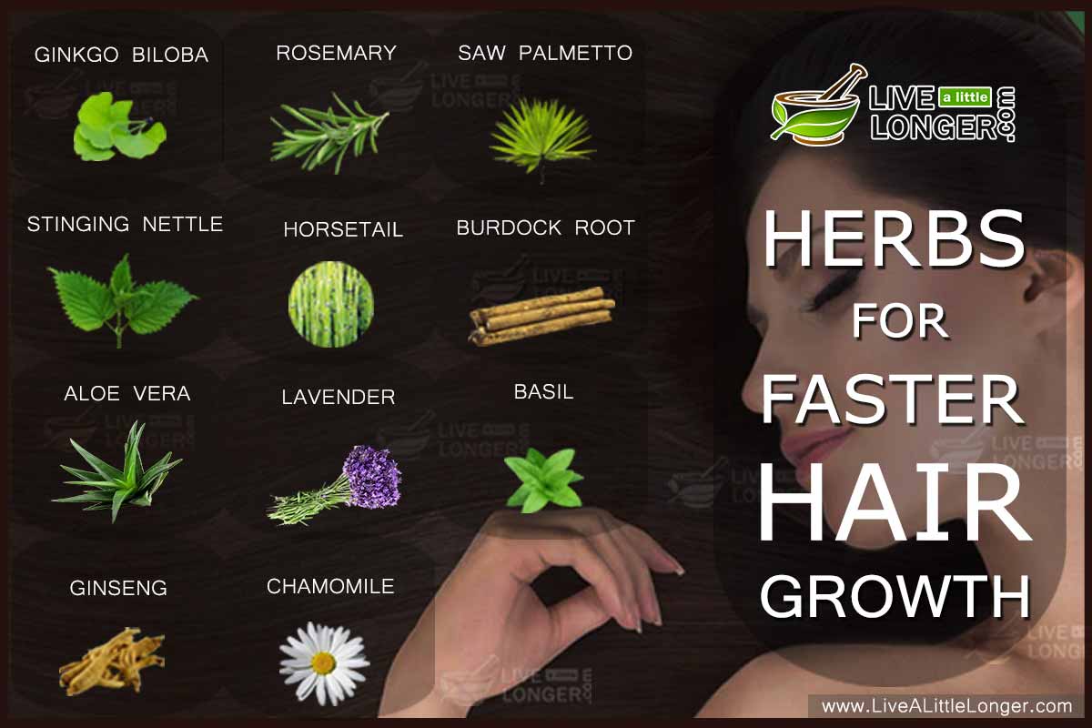 10 Amazing Herbs To Make Your Hair Grow Faster 10 Amazing Herbs To Make Your Hair Grow Faster