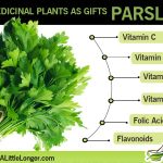 health benefits of parsley