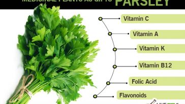 health benefits of parsley