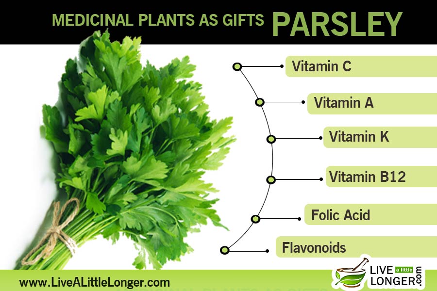 health benefits of parsley