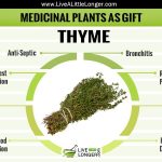 medicinal-plant-as-gift-thyme