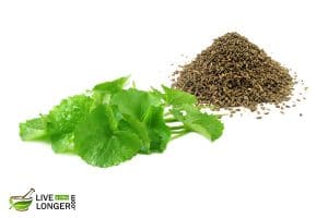 organic herbs for diarrhea