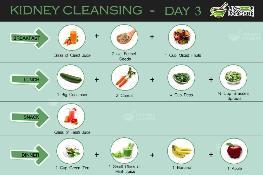 2 Day Cleanse Diet Plan