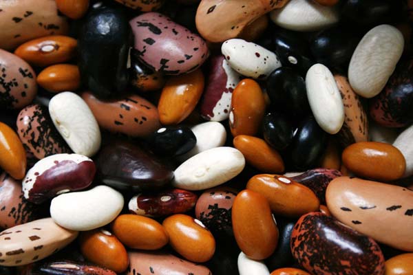 legumes for breast cancer