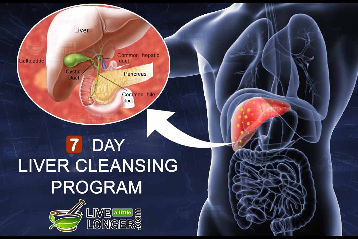Natural 7 Day Liver Cleanse Diet Plan For Complete Detox natural-7-day-liver-cleanse-diet-plan-for-complete-detox