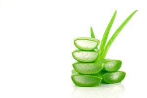 Aloe Vera skin and health benefits