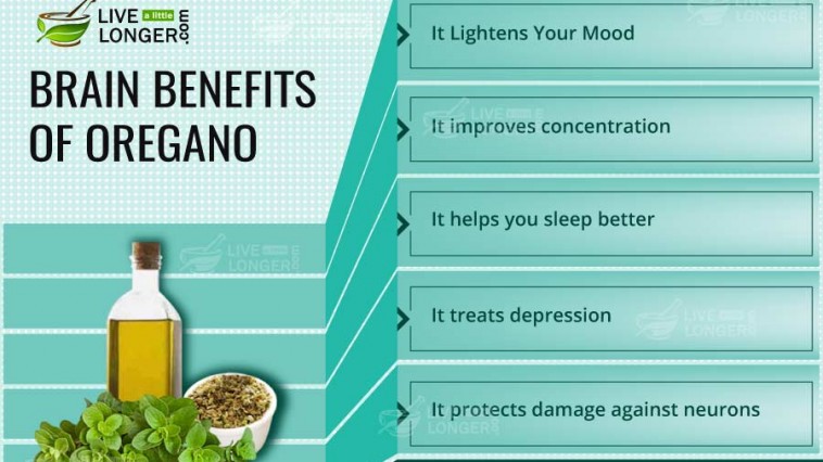 Brain Benefits Of Oregano