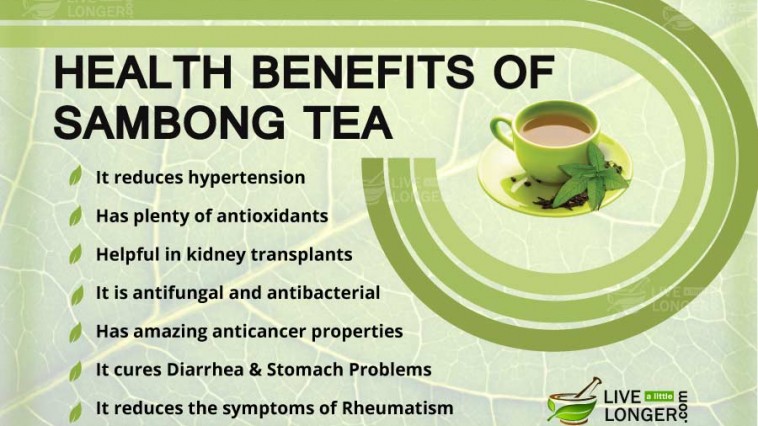 Health Benefits Of Sambong Tea