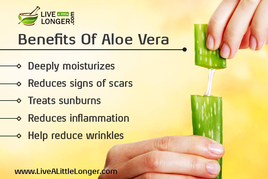 A Daily Dose Of Aloe Vera Can Reverse The Signs Of Aging