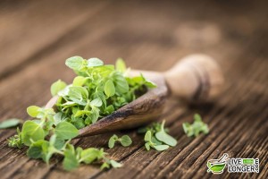 oregano health benefits