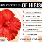 Health benefits of hibiscus