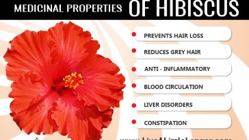 Health benefits of hibiscus