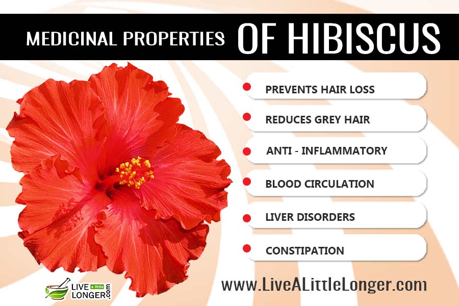 10 Benefits Of Hibiscus Flower- Hair Remedies – 