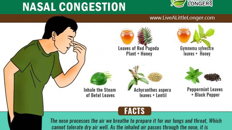 Home Remedies For Nasal Congestion
