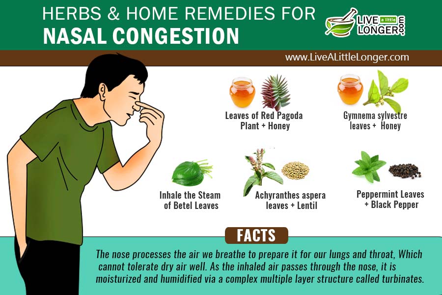 Home Remedies For Nasal Congestion