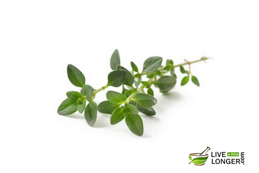 12 Natural Home Remedies For Chest Congestion Relief