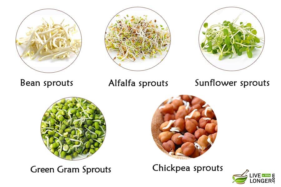 benefits of sprouts