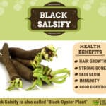 Health Benefits Of Black Salsify