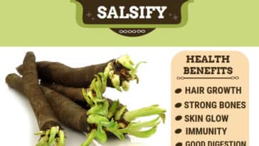 Health Benefits Of Black Salsify