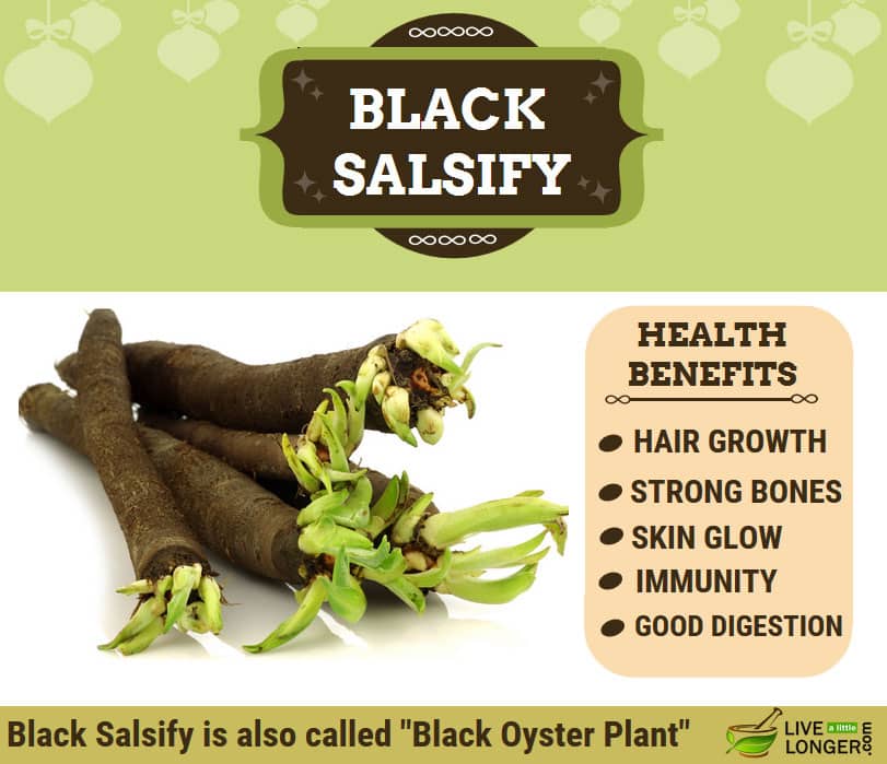 Health Benefits Of Black Salsify