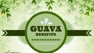 Health Benefits Of Guava