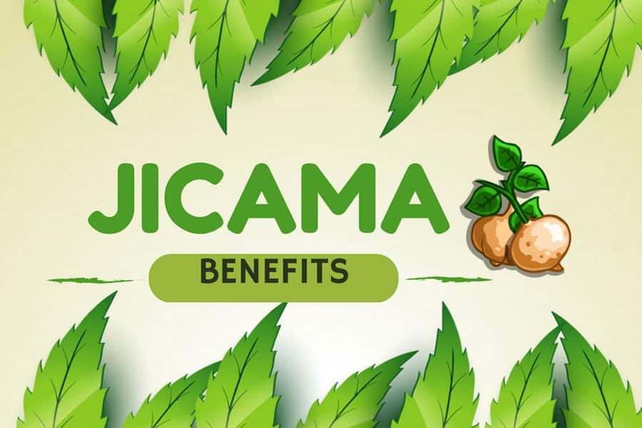 Health Benefits Of Jicama