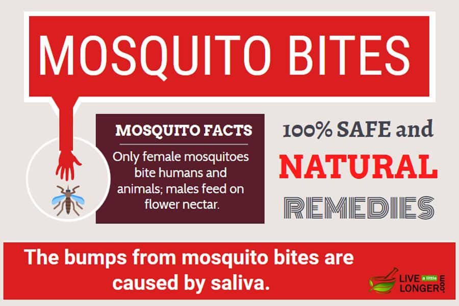 Home Remedies For Mosquito Bites