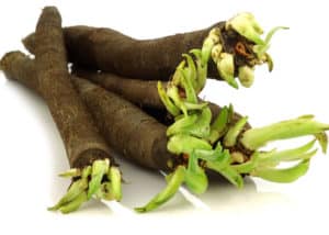 black salsify