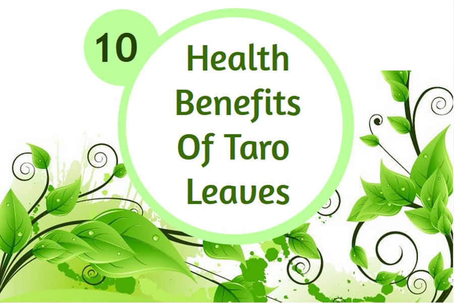 taro leaves