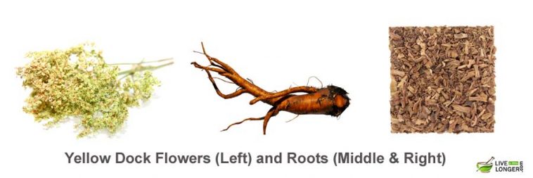 home remedies for ear mites in rabbits