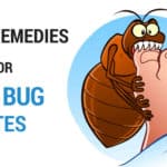 Home Remedies For Bed Bugs