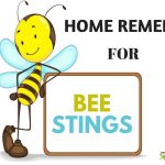 Home Remedies For Bee Stings