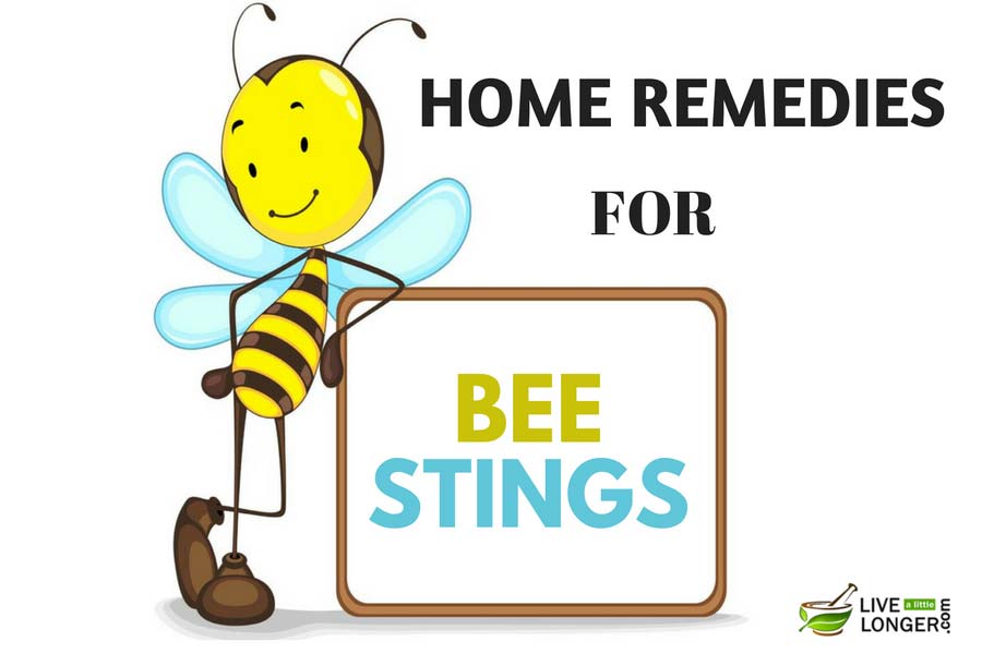 Home Remedies For Bee Stings