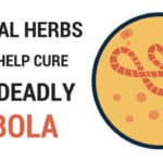 home remedies for ebola virus