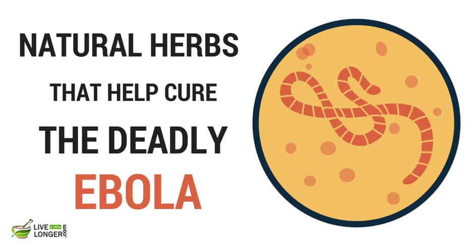 home remedies for ebola virus