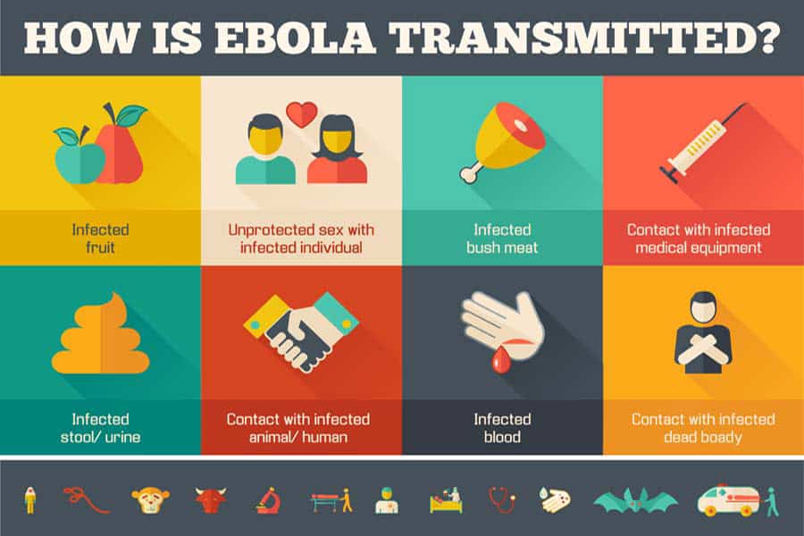 how does ebola transmits